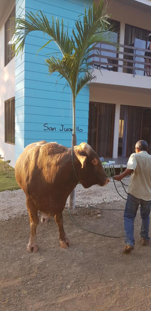 Ferienwohnung Loft Marbella Guanacaste Exterior foto